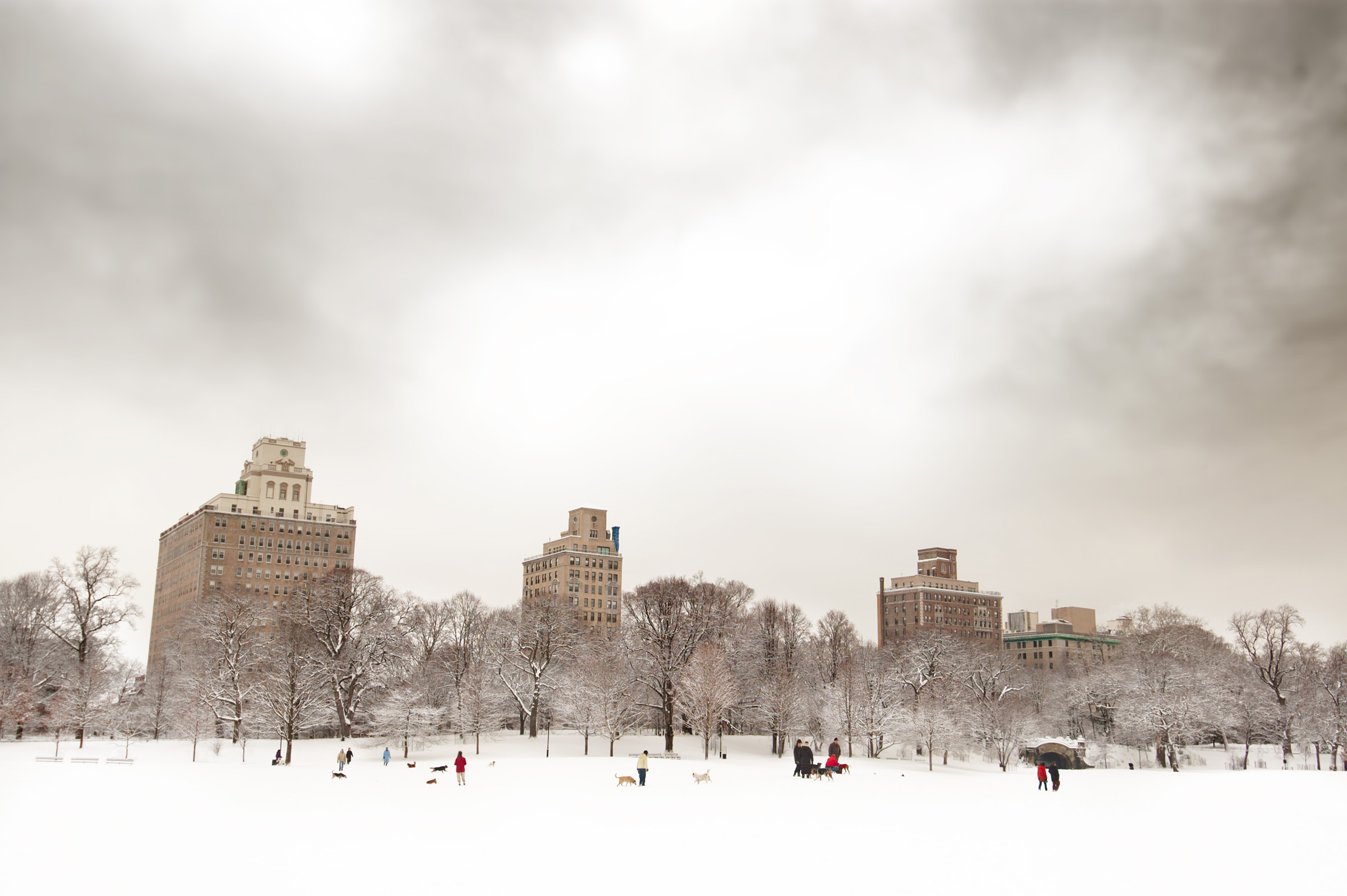 Long Meadow North 2005