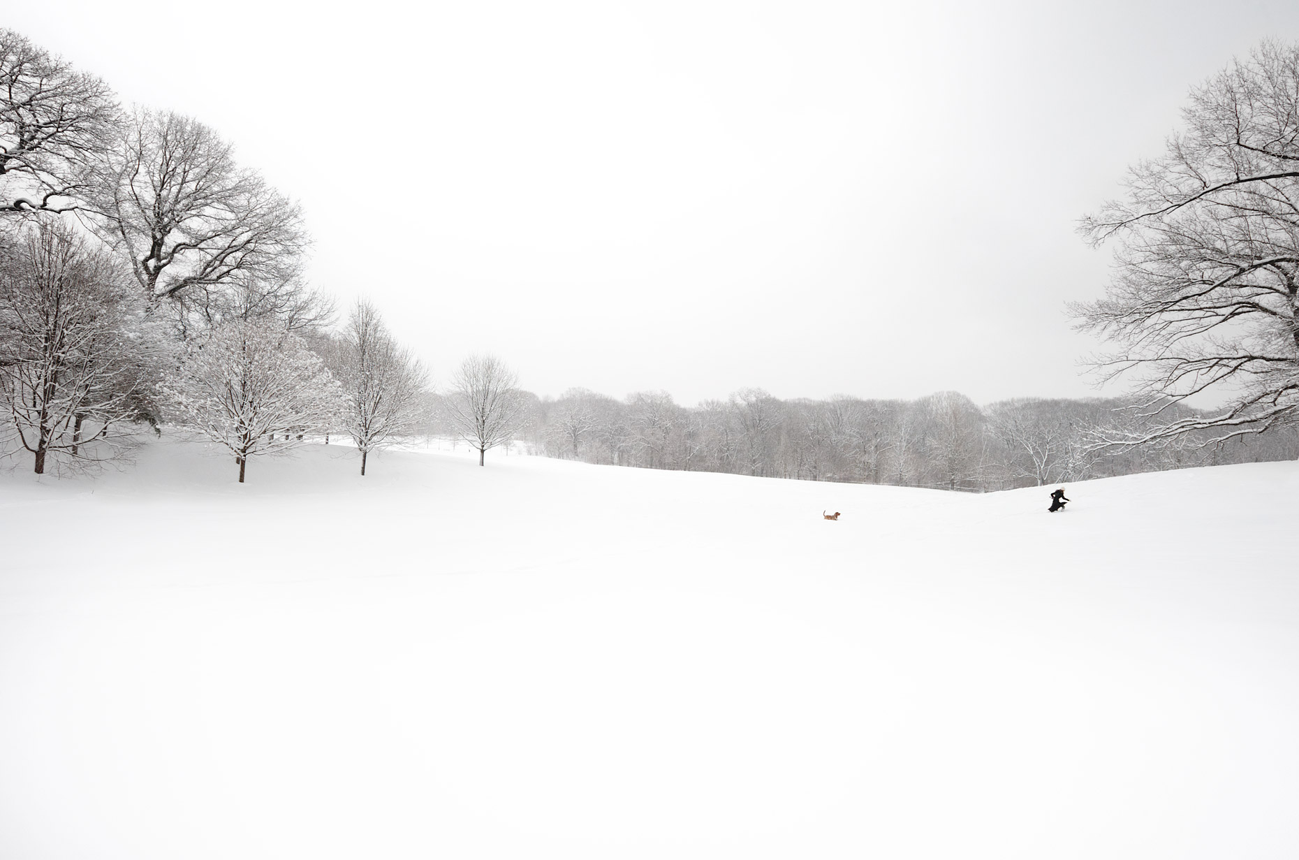 North of the Tennis House