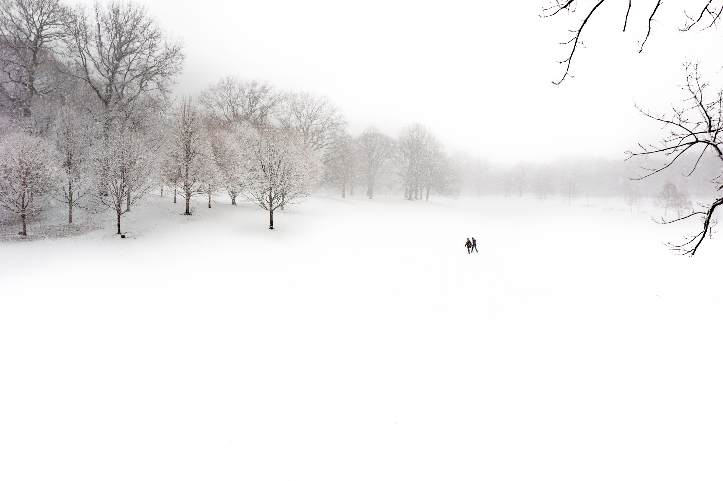 Prospect-Park-2-Portfolio-2400