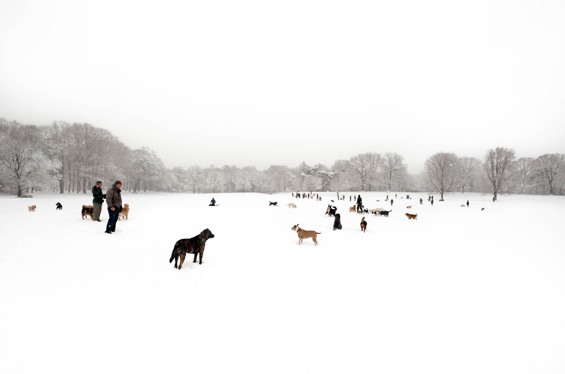 Nethermead, Prospect Park