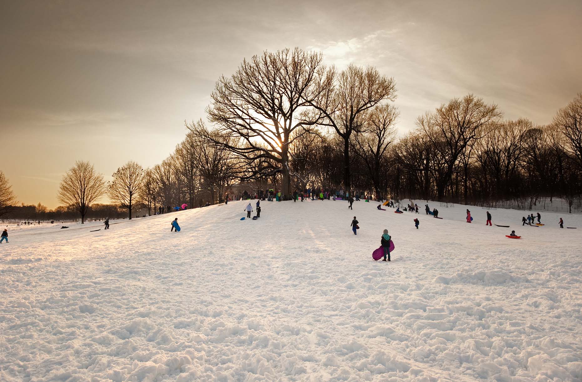 The Sledding Hill